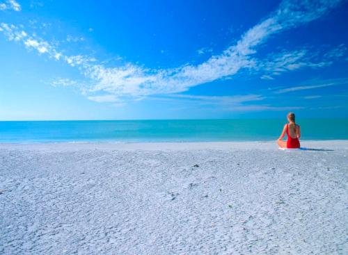 Can You Picture Yourself Sitting on the Beach at Palm Island Resort?